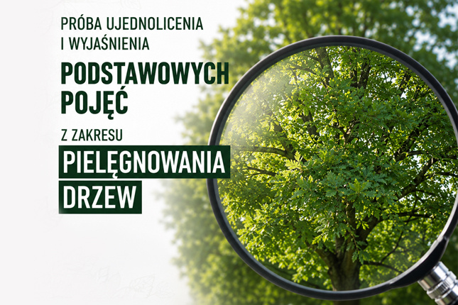 Próba ujednolicenia i wyjaśnienia podstawowych pojęć z zakresu pielęgnowania drzew